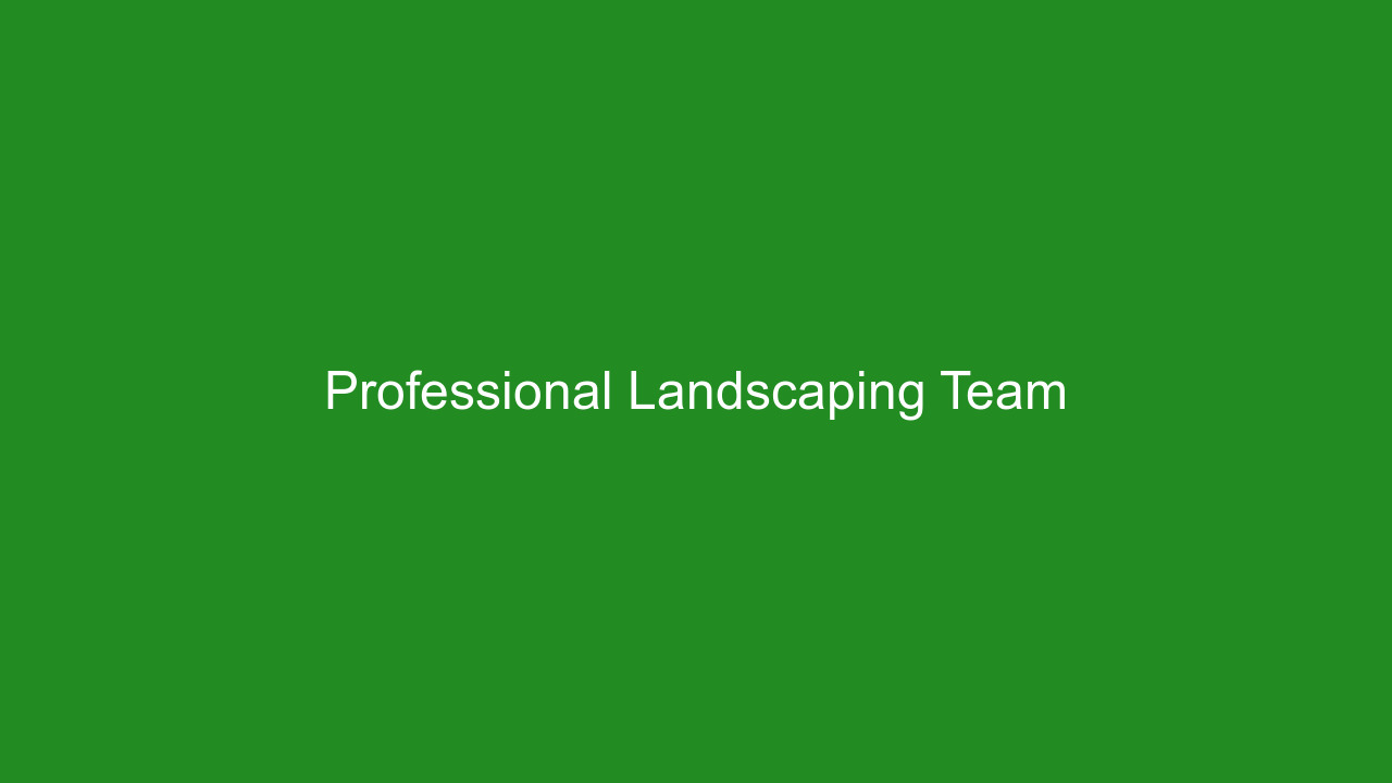 Professional landscaping team collaboration with snow plowing equipment